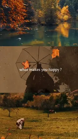What makes you happy