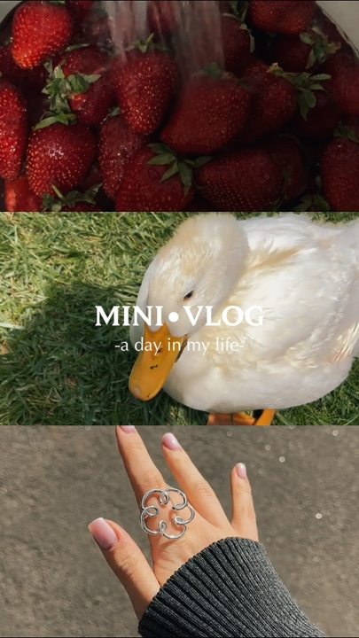 MINIVLOG 30 CLIPS 