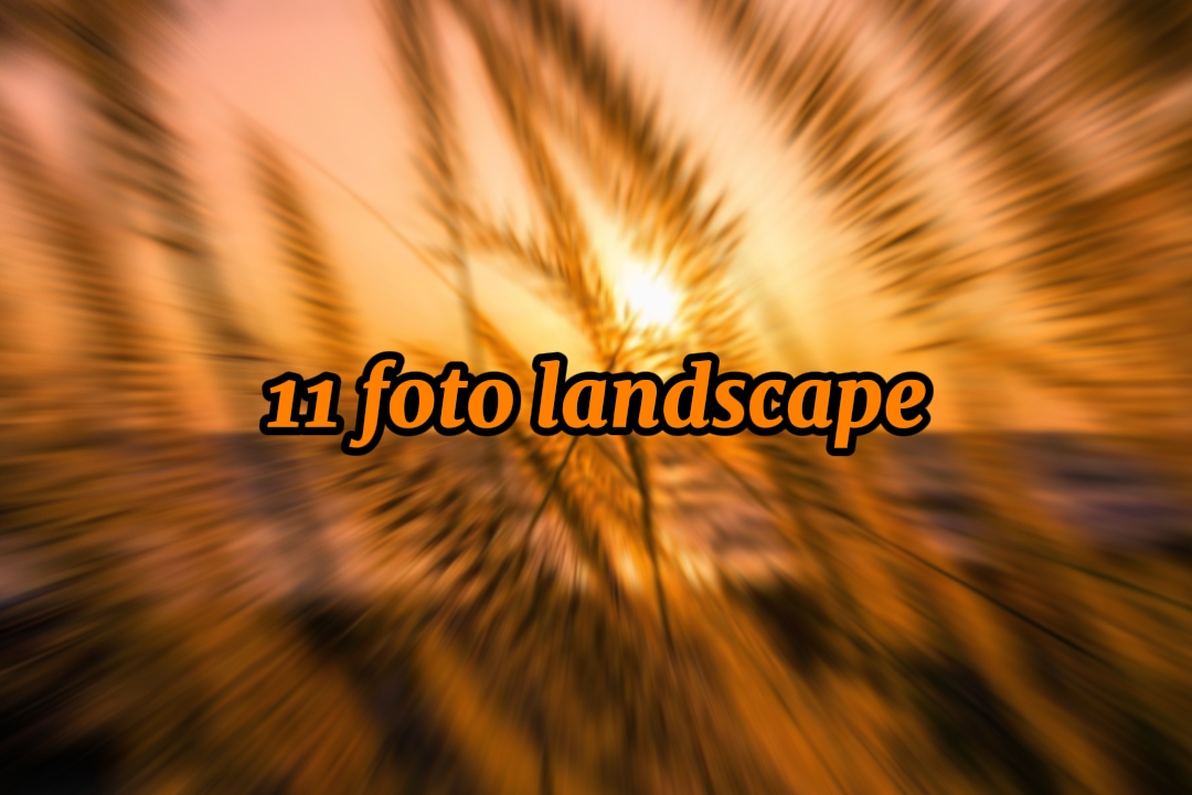 11 foto del paisaje

