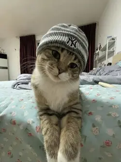 cute