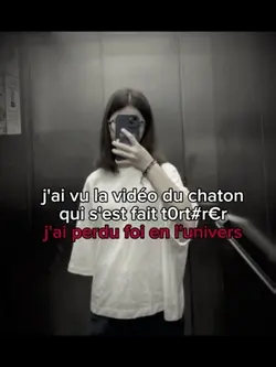 Les chatons 😭😭