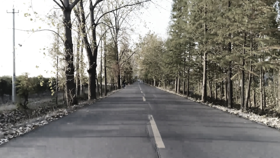 Landscape 7 Video