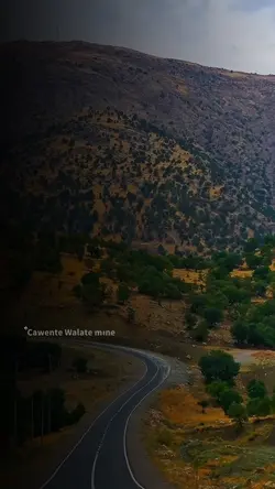 YENİ ŞABLON 