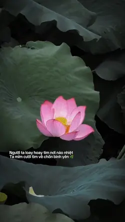 SLOW MOTION