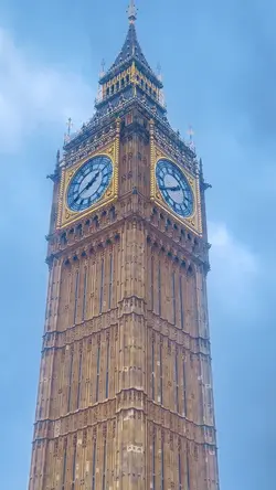 University Video