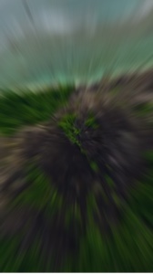 New template 