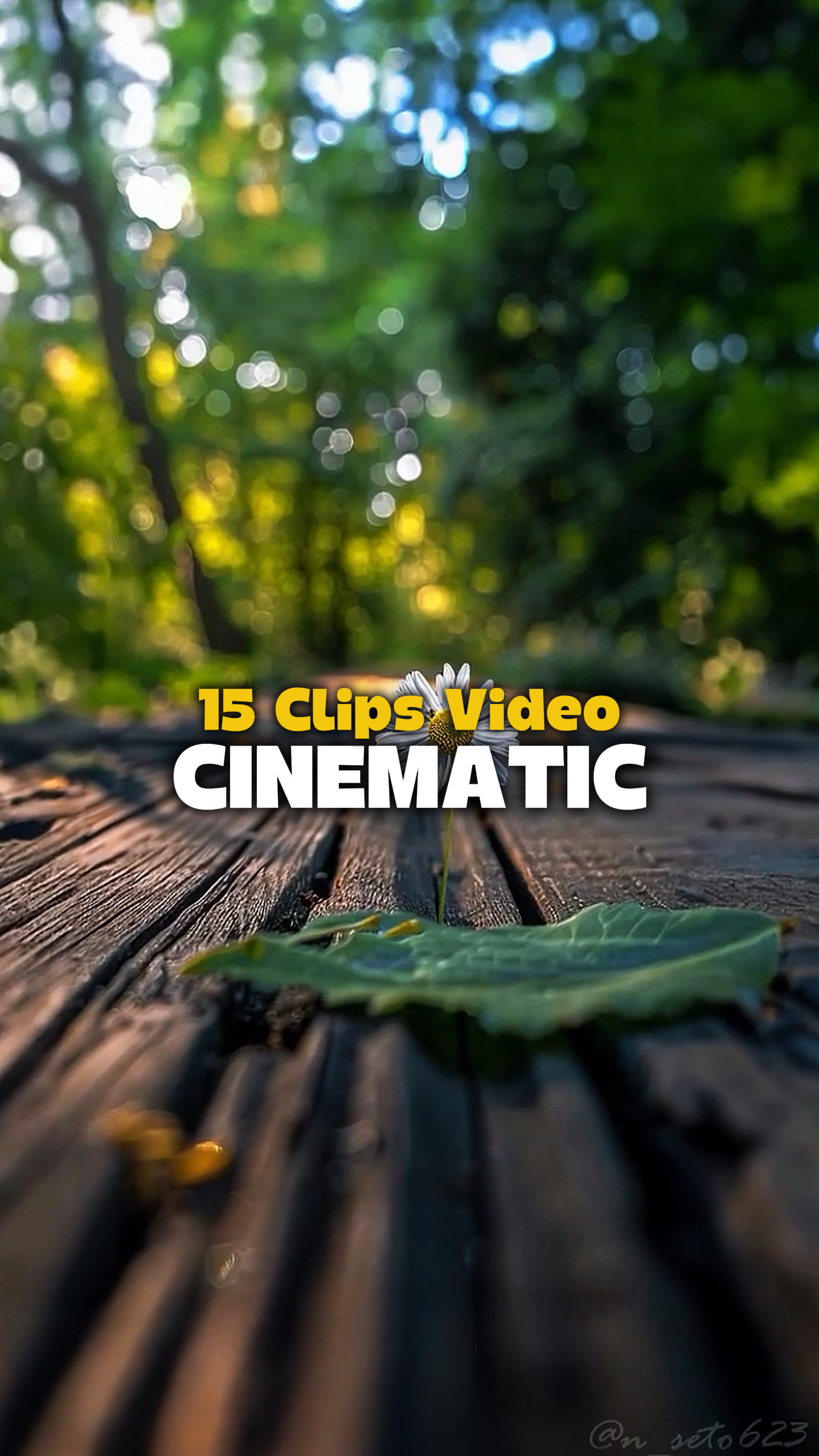 15 Videos Cinematic 