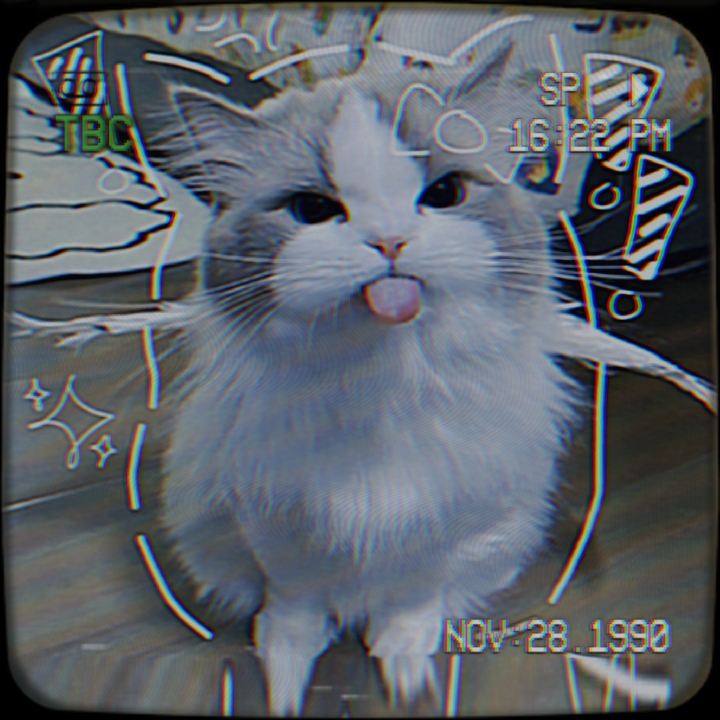 CUTE² kity nostalgia