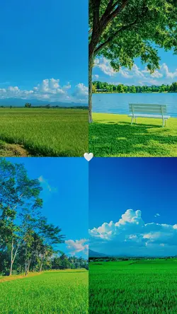 4 photos