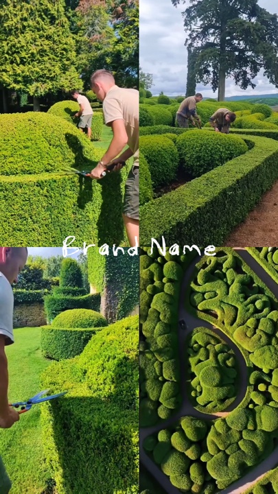 Jardinagem