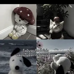 ถึงจะเรียนไม่เก่ง🫂