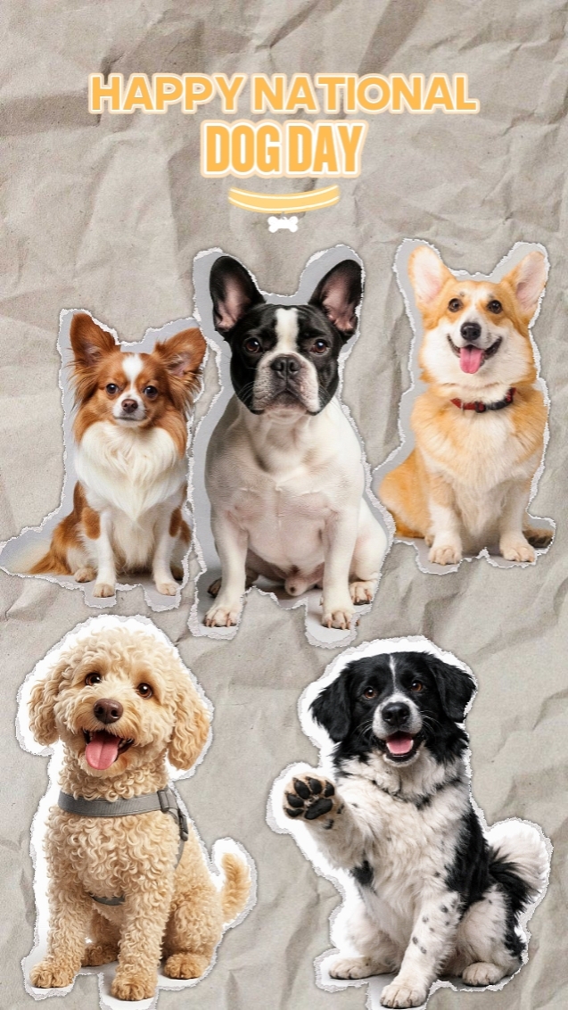 Dia nacional do cão