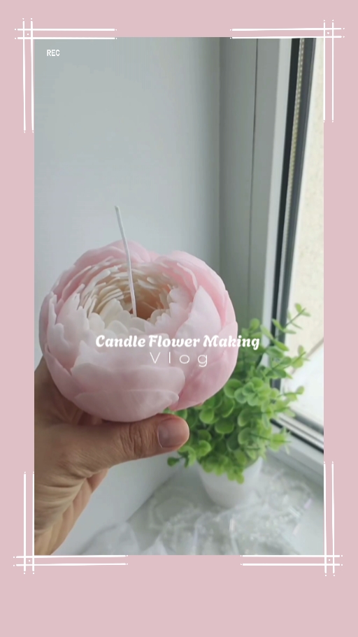 Vlog de Flor de Vela