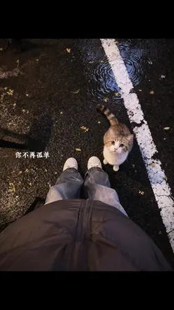 1 Ảnh + Màu
