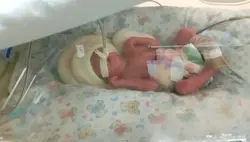 Aniversário