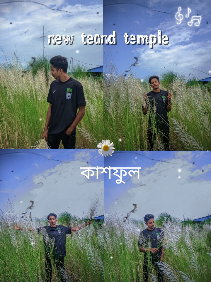 কাশফুল 