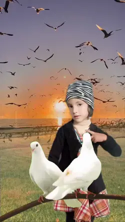 bird template