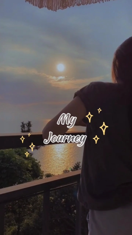 Mi viaje 