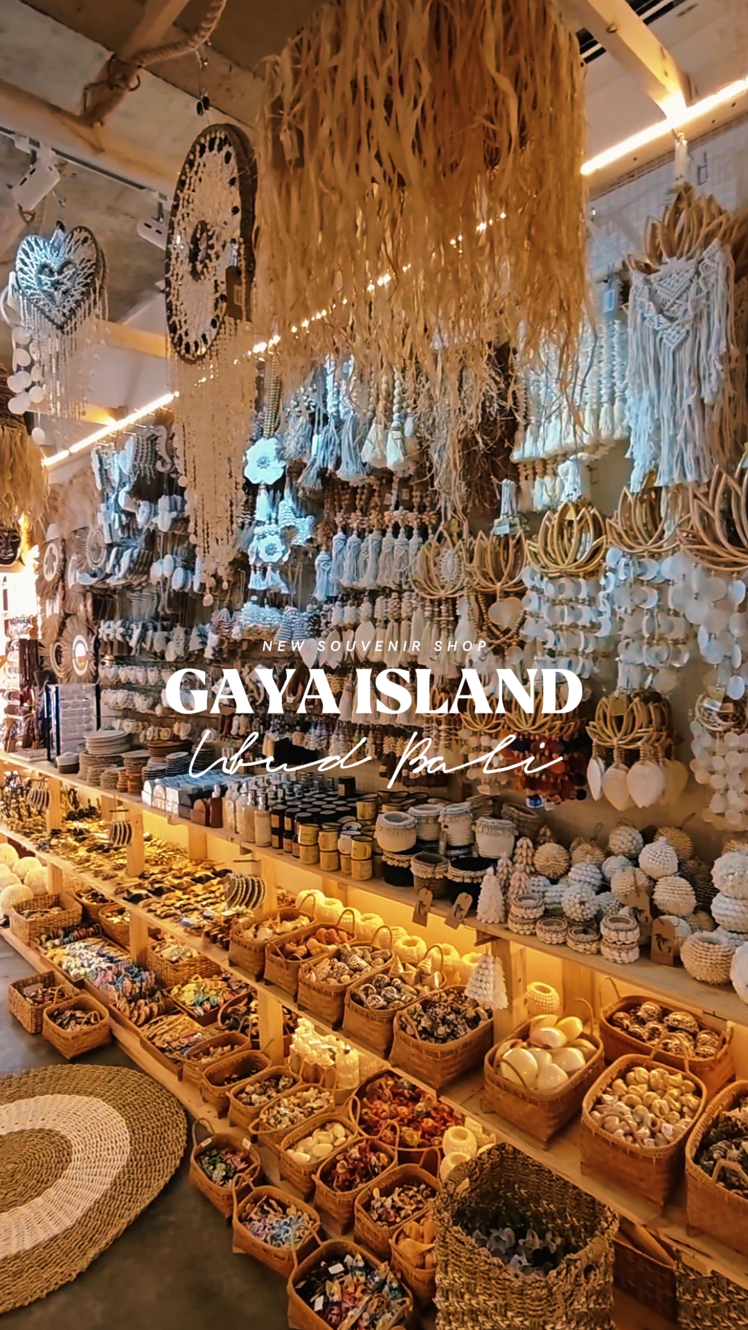 TIENDA DE VLOG