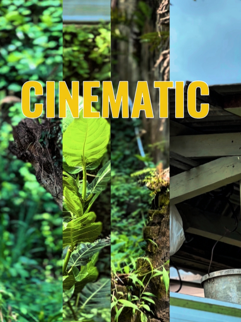 CINEMATIC 