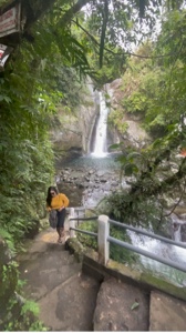 Nature view 