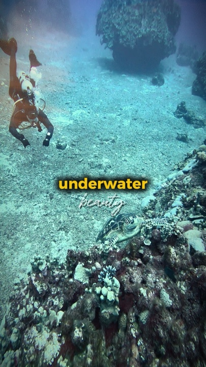 Beauté sous-marine