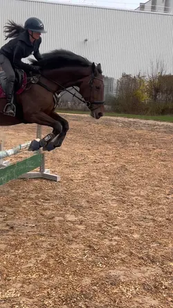 SLOMO🐎