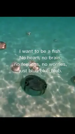 like a fish