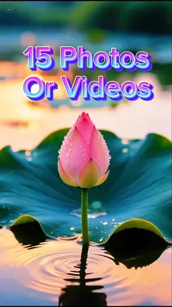 15 Photo Slides