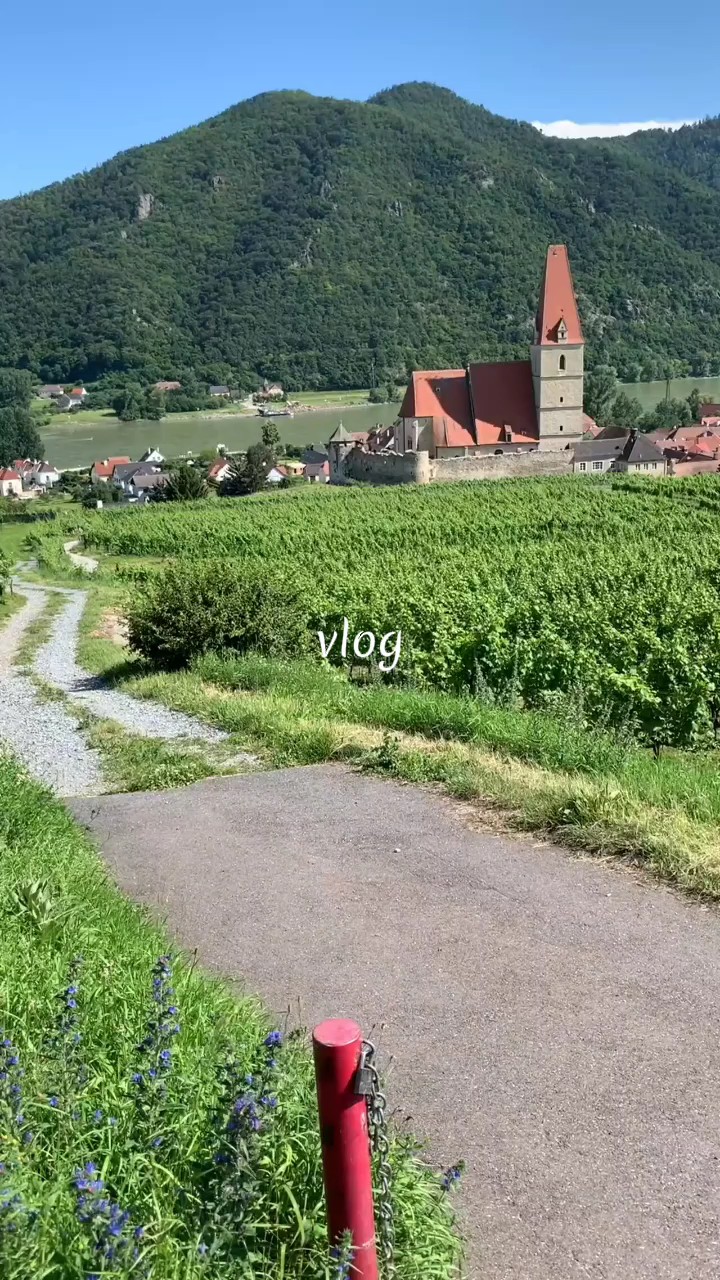 vlog
