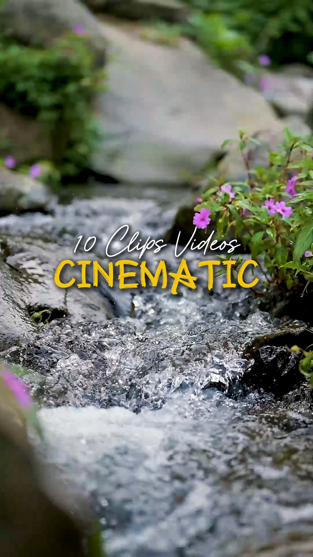 Cinématique 10 Vidéos