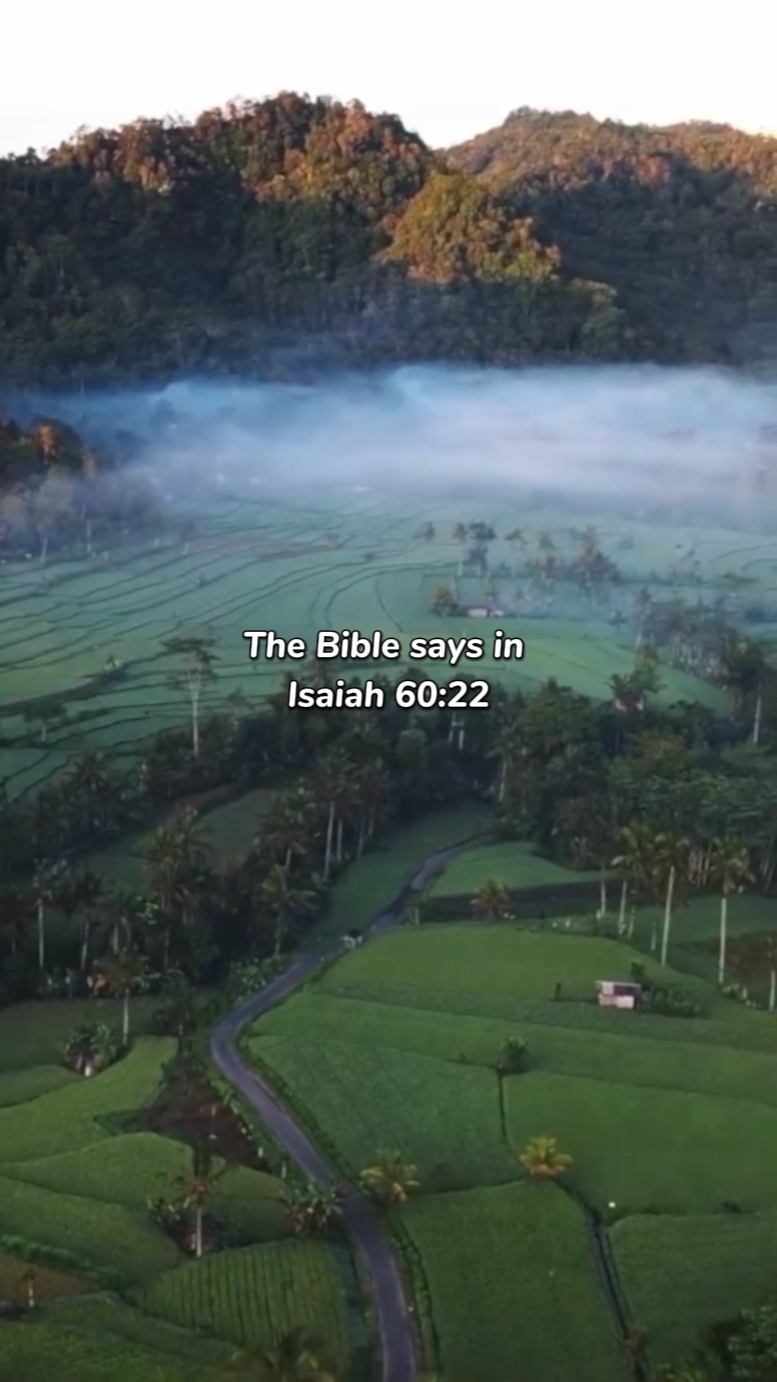 Bible Verse