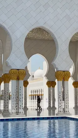 Calligraphy Elegance