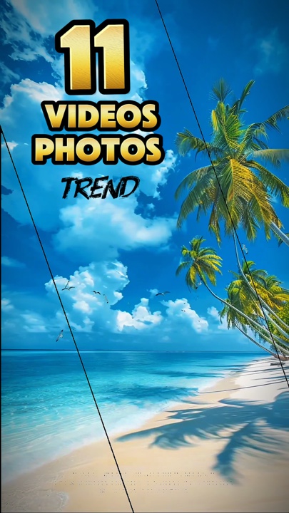 11 video atau foto 