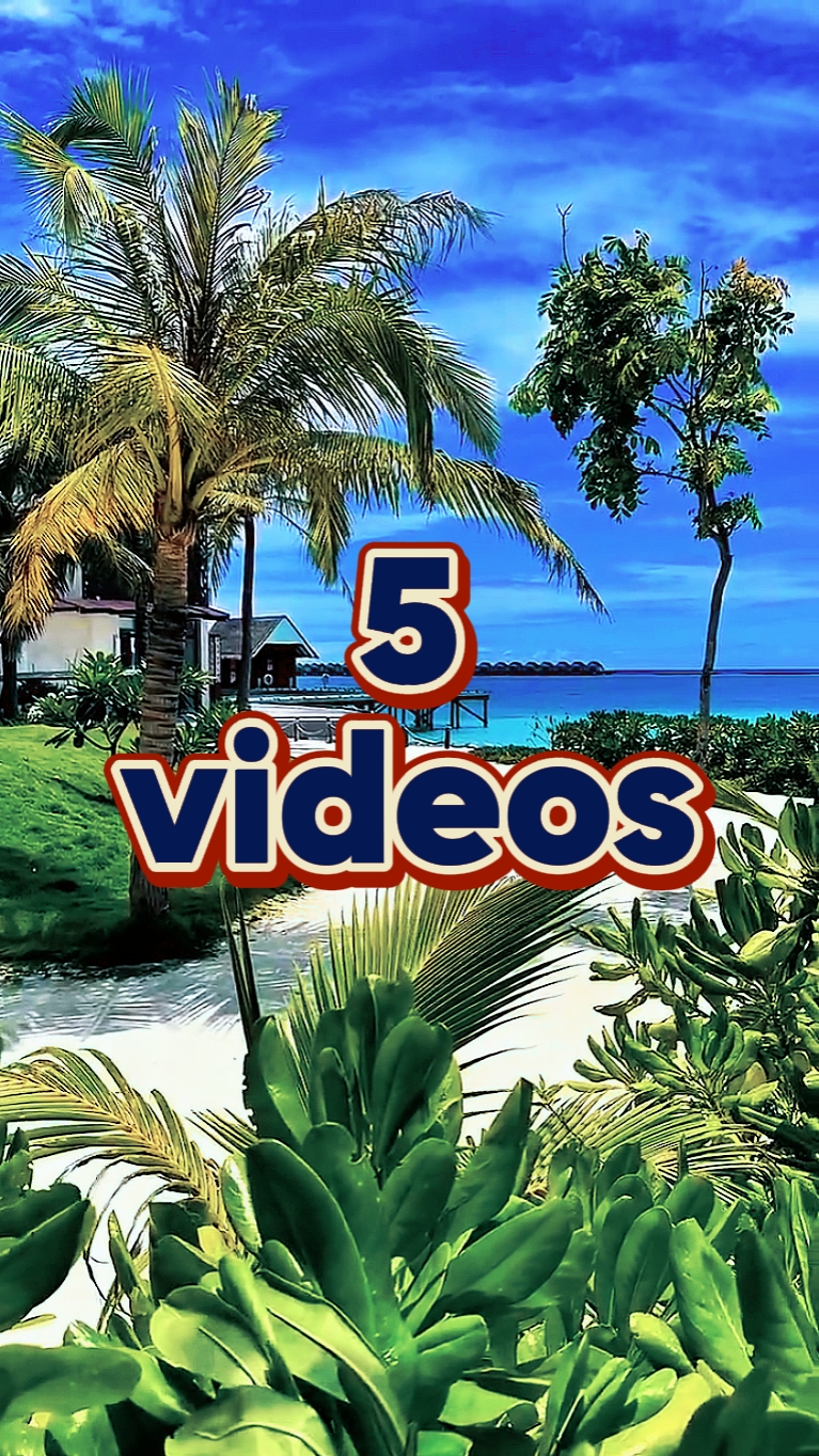 5 videos de diapositivas