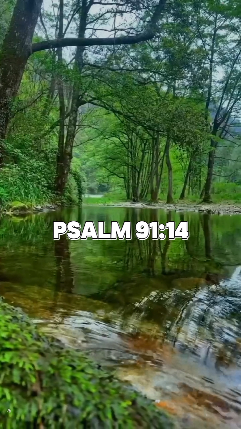 Salmo 91: 14