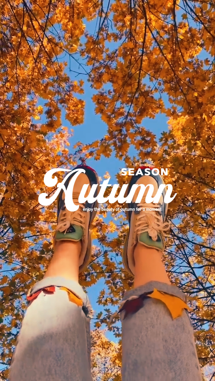 autumn