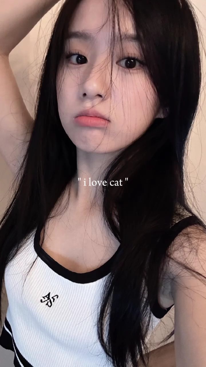 Amo a los gatos