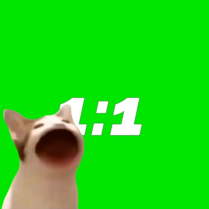 Gato pop meme templat