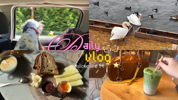intro vlog 