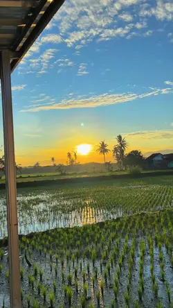 SUNSET DESA