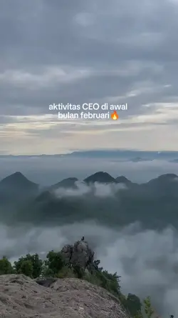 aktivitas CEO