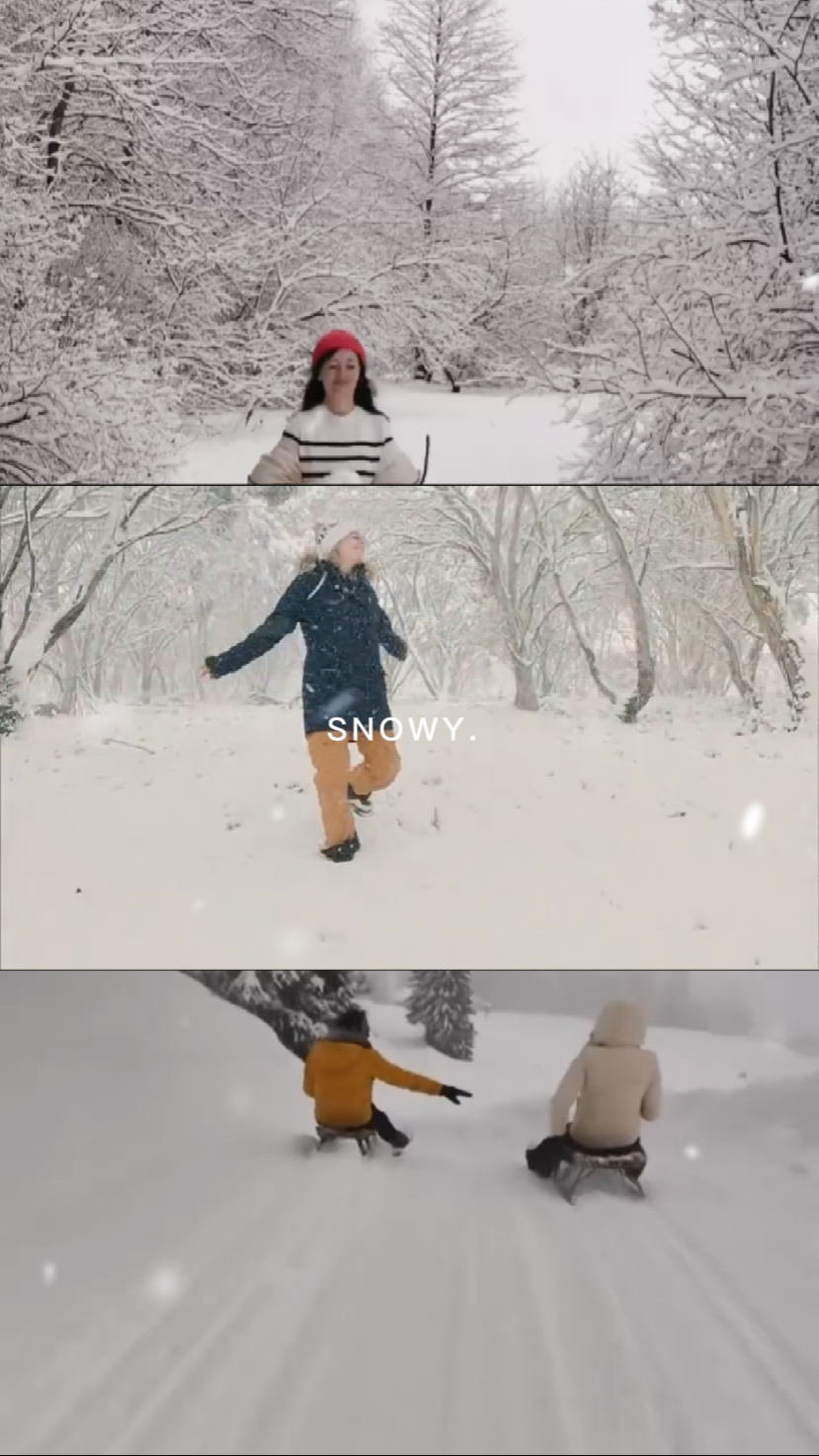 3 clips 'grid' 