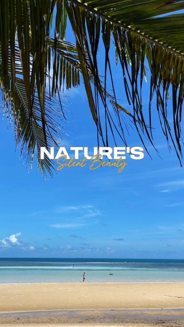 Nature's silent
