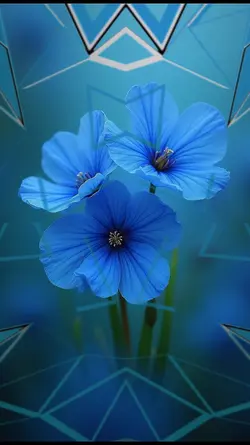 Beautiful Pictures 