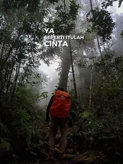 cinta