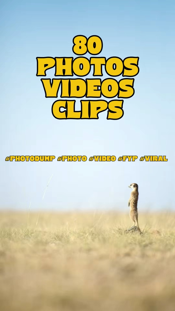 80 fotoğraf videosu