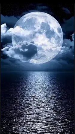 selamat malam