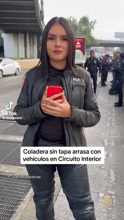 REJILLAVEHICULAR