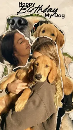 Birthday my dog